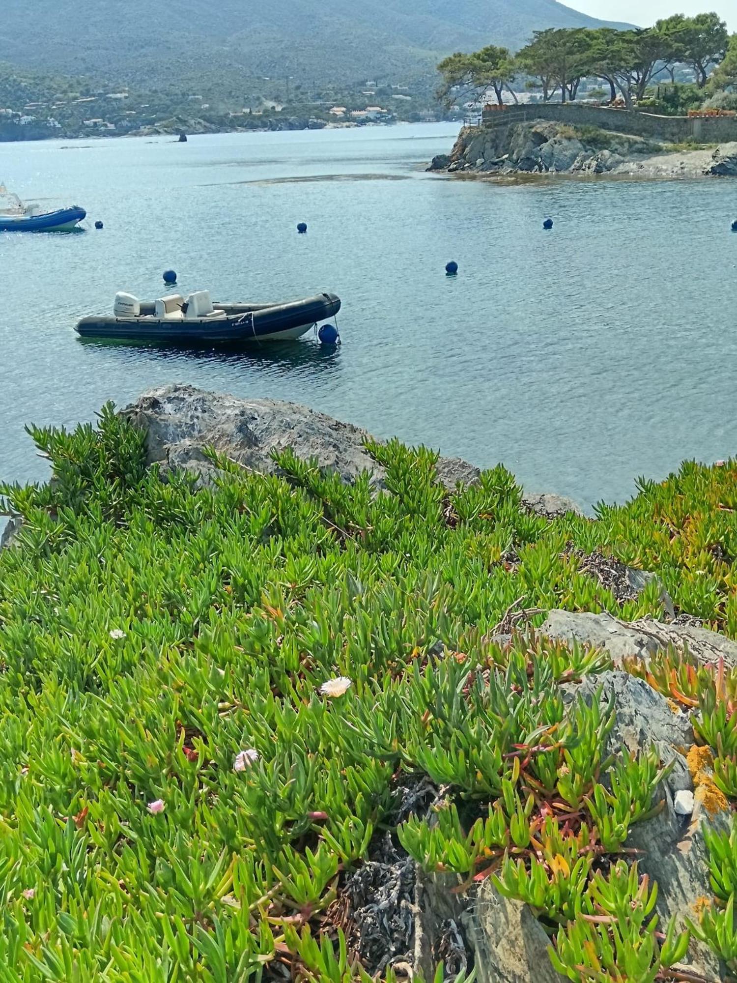 Isla Privada En Cadaques De Ensueno Con 11 Habitaciones Dobles Con Bano Privado Y Piscina Экстерьер фото