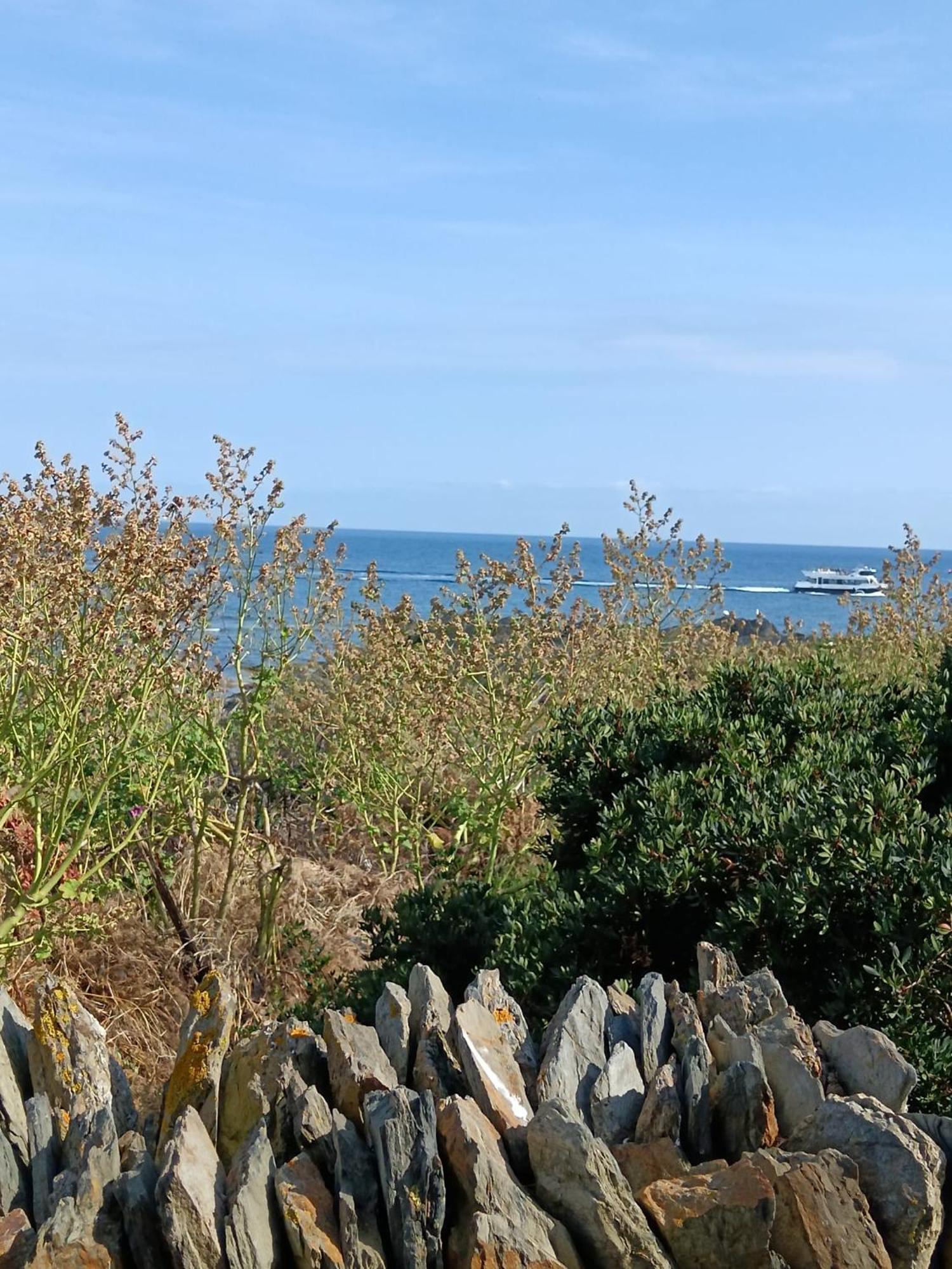 Isla Privada En Cadaques De Ensueno Con 11 Habitaciones Dobles Con Bano Privado Y Piscina Экстерьер фото