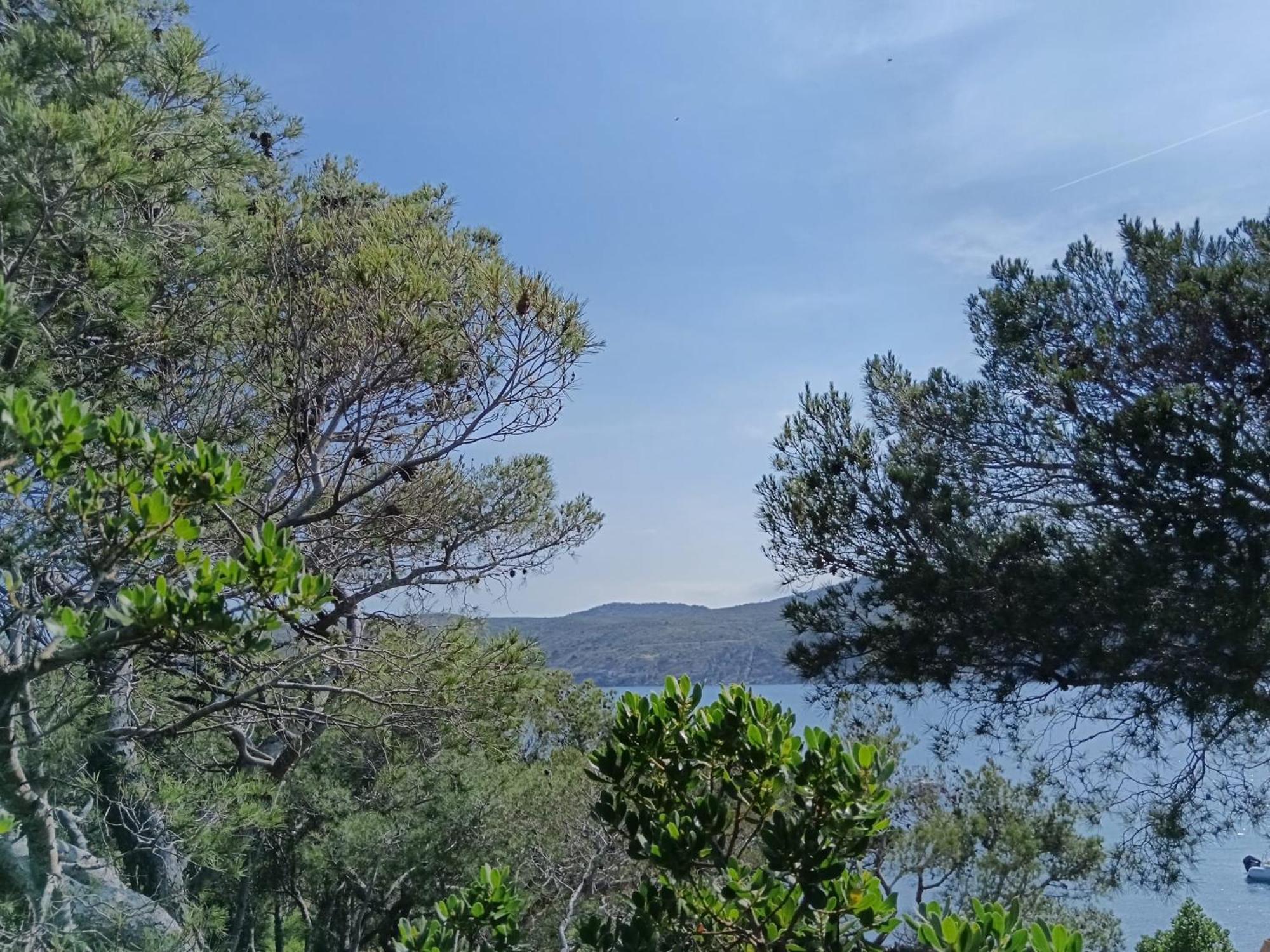 Isla Privada En Cadaques De Ensueno Con 11 Habitaciones Dobles Con Bano Privado Y Piscina Экстерьер фото